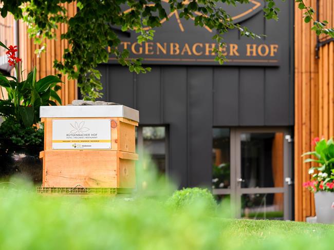 Bees from become part of the  Bütgenbacher-Hof family